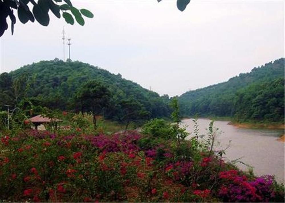 Phoenix Hotel Wuyi เจียงเหมิน ภายนอก รูปภาพ